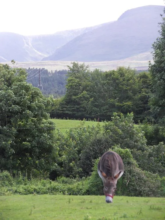 Carriglea House Bed & Breakfast Killarney 3*,  Ireland