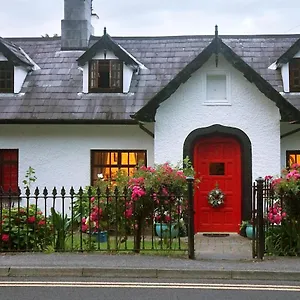 Bed & Breakfast Ivy